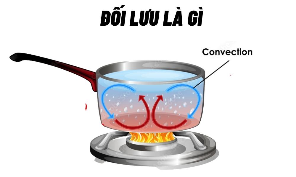 Đối lưu là hình thức truyền nhiệt chủ yếu của