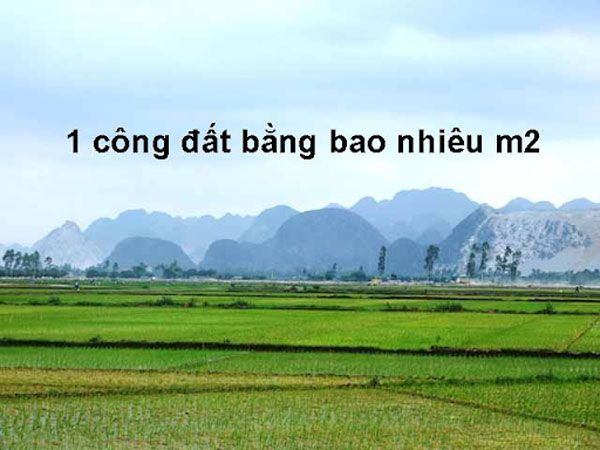 1 Công Đất Là Bao Nhiêu Mét Vuông? Gallery 1