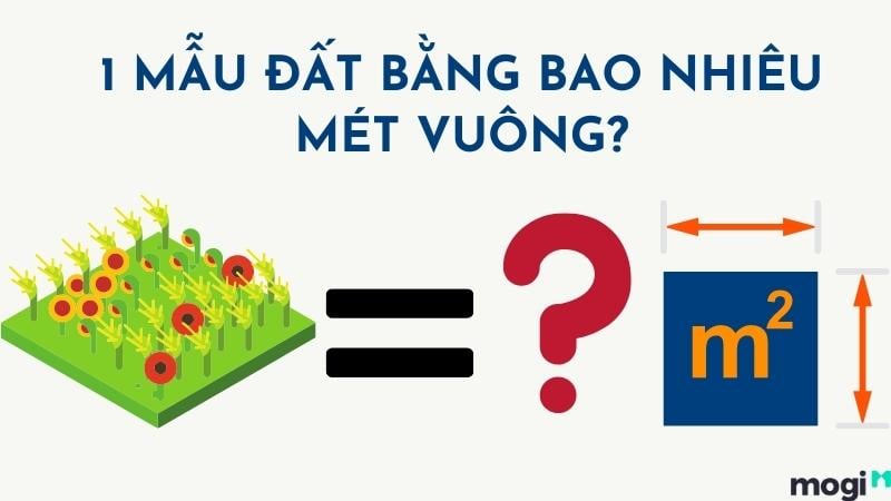 1 Mẫu Đất Bằng Bao Nhiêu Mét Vuông? Gallery 1
