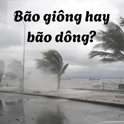 Dông bão hay giông bão?