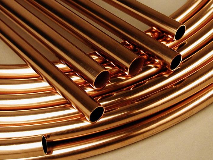 Đồng Loại Là Gì?