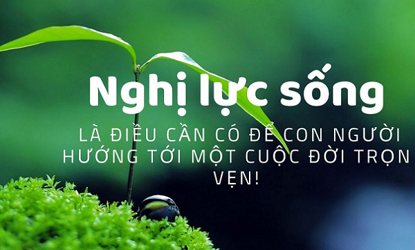 Sống Ẩn Là Gì? Gallery 2