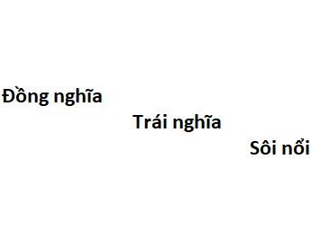 Đồng nghĩa với sôi nổi