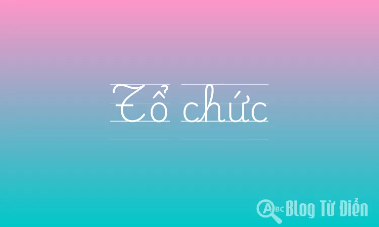 Đồng nghĩa với tổ chức Gallery 2