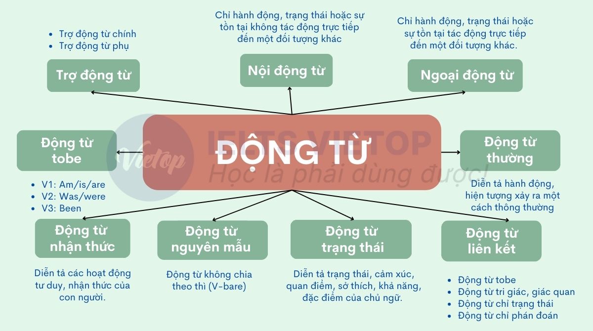 Đong Tu Là Gì?