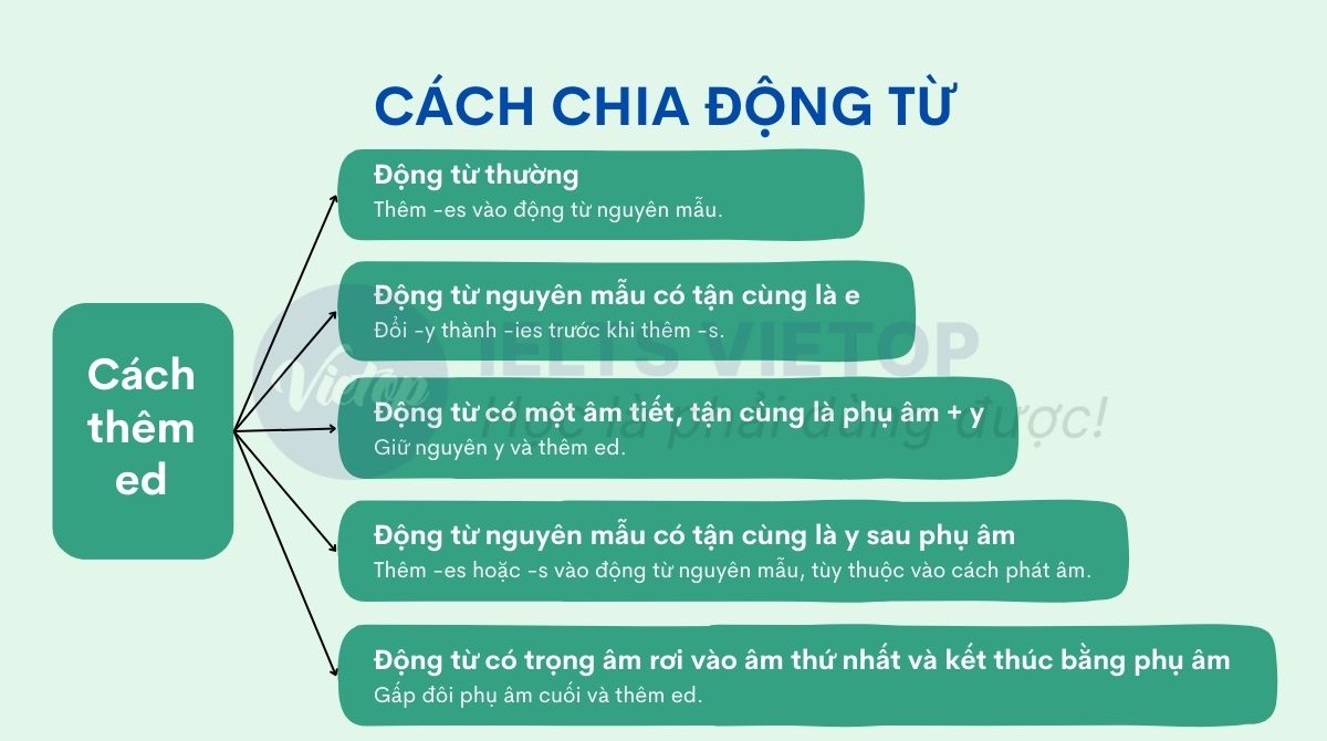 Động Từ Là Sao?