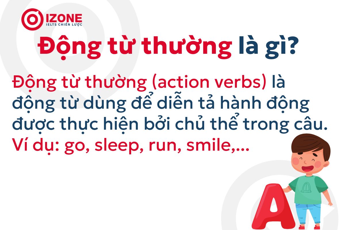 Động Từ Thường Là Gì?