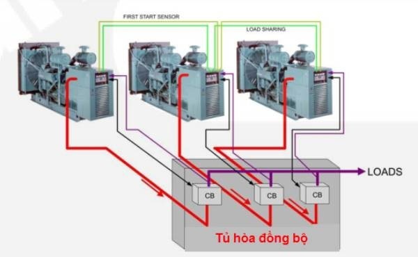 Đồng vị pha là gì?
