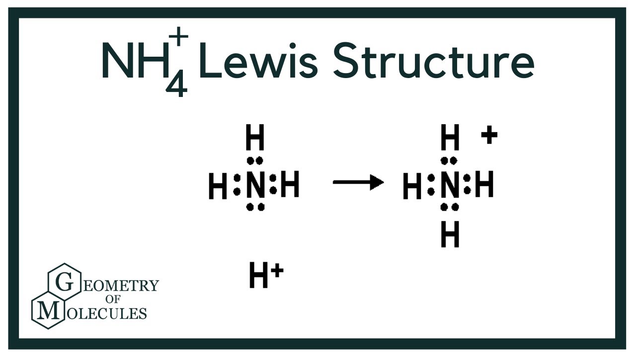 NH₄¹⁺ Lewis Structure Gallery 1