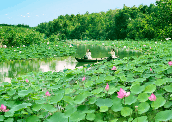 Vùng Đồng Tháp Mười: Thiên đường sinh thái giữa lòng sông nước Gallery 2