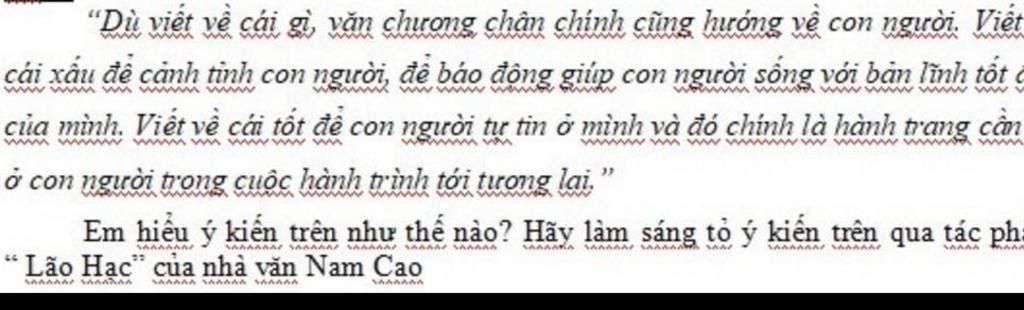 Văn chương chân chính luôn hướng về con người