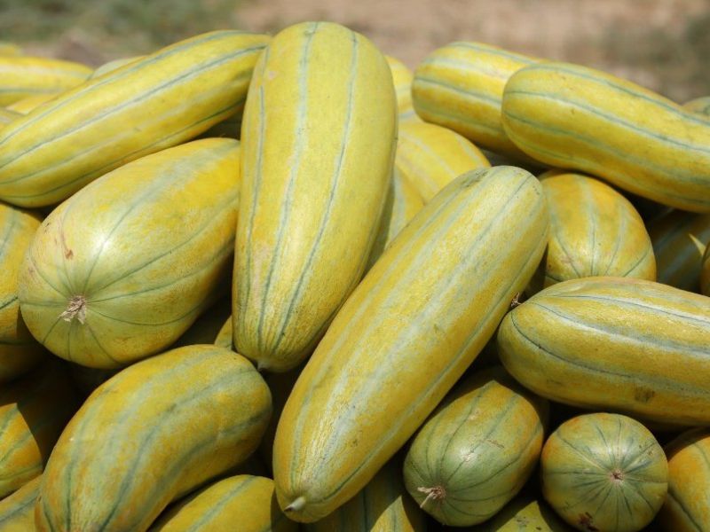 Dưa gang có tác dụng gì?