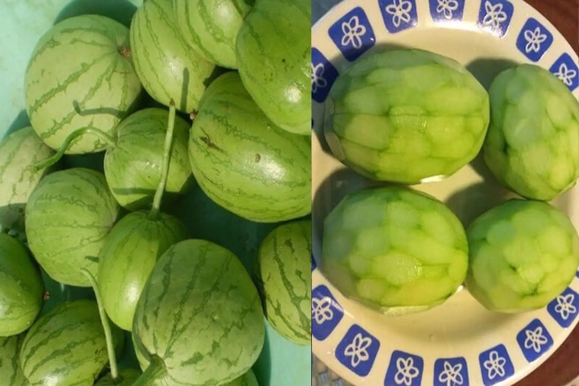 Dưa Hồng Là Quả Gì?