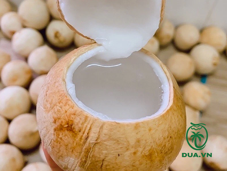Dừa trọc có tốt không?