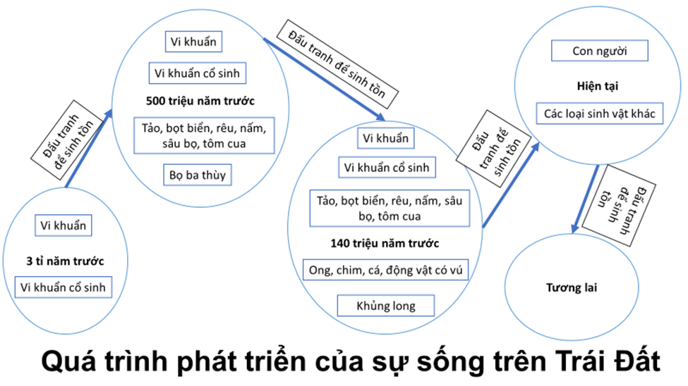 Sơ đồ quá trình phát triển sự sống trên Trái Đất