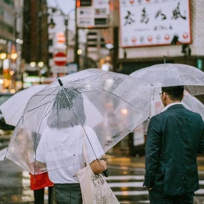 Đục Mưa Là Gì?