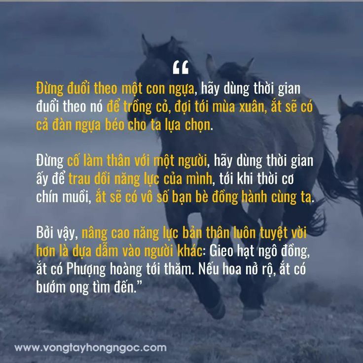 Đừng Cố Đuổi Theo Một Con Ngựa