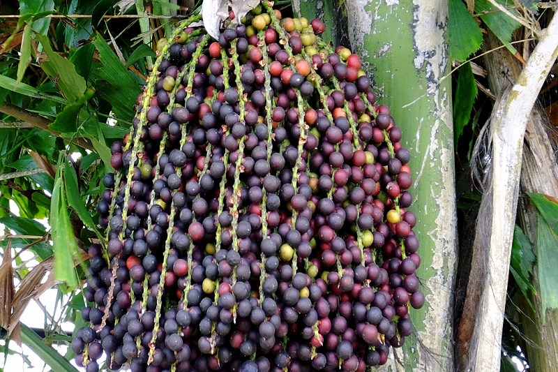 Đủng Đỉnh Là Gì?