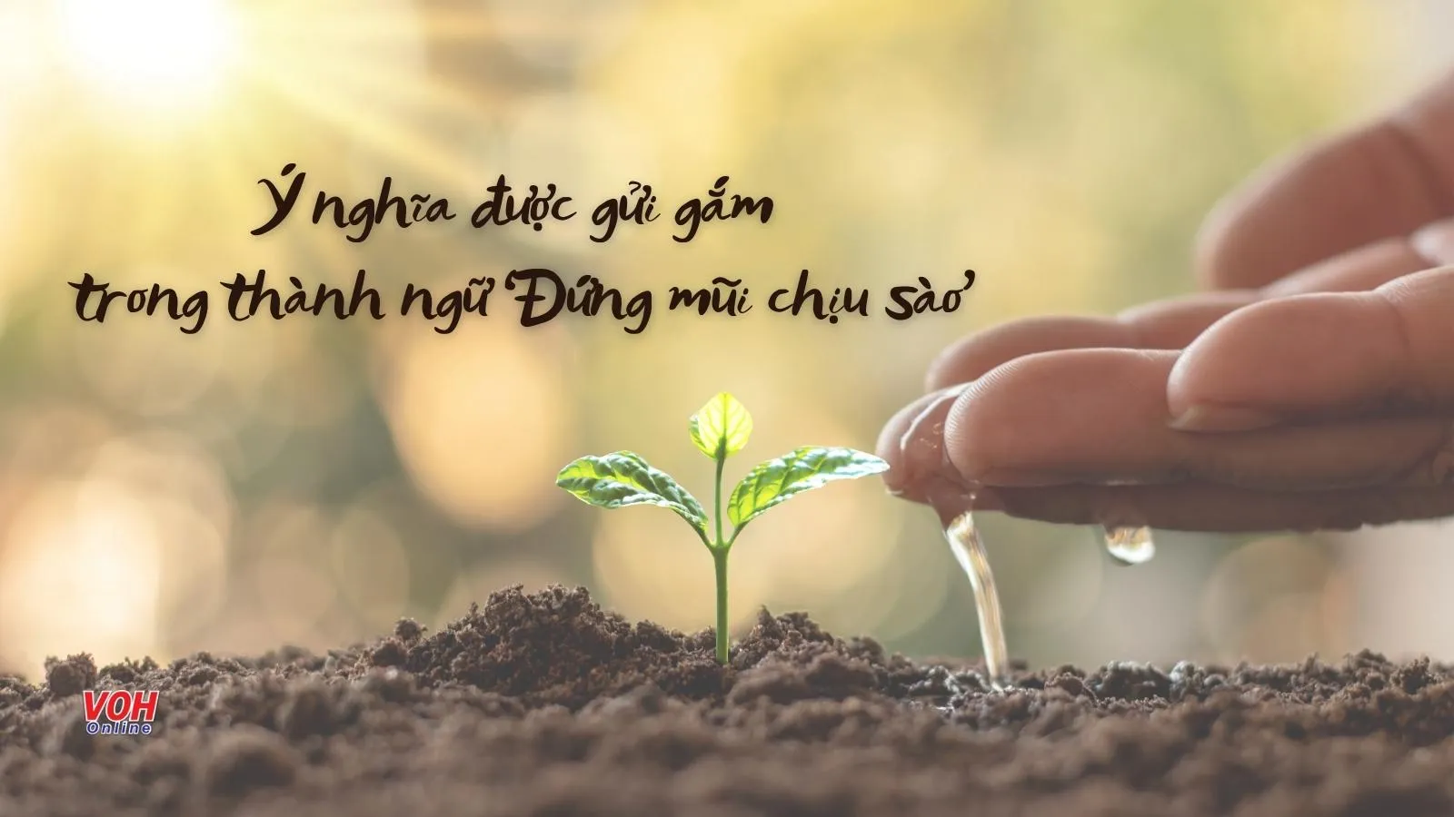 Đứng mũi chịu sào là gì? Ý nghĩa và bài học từ thành ngữ