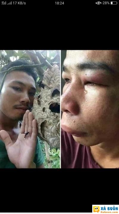 Đừng Tin Vào Lời Ong Bướm Gallery 2