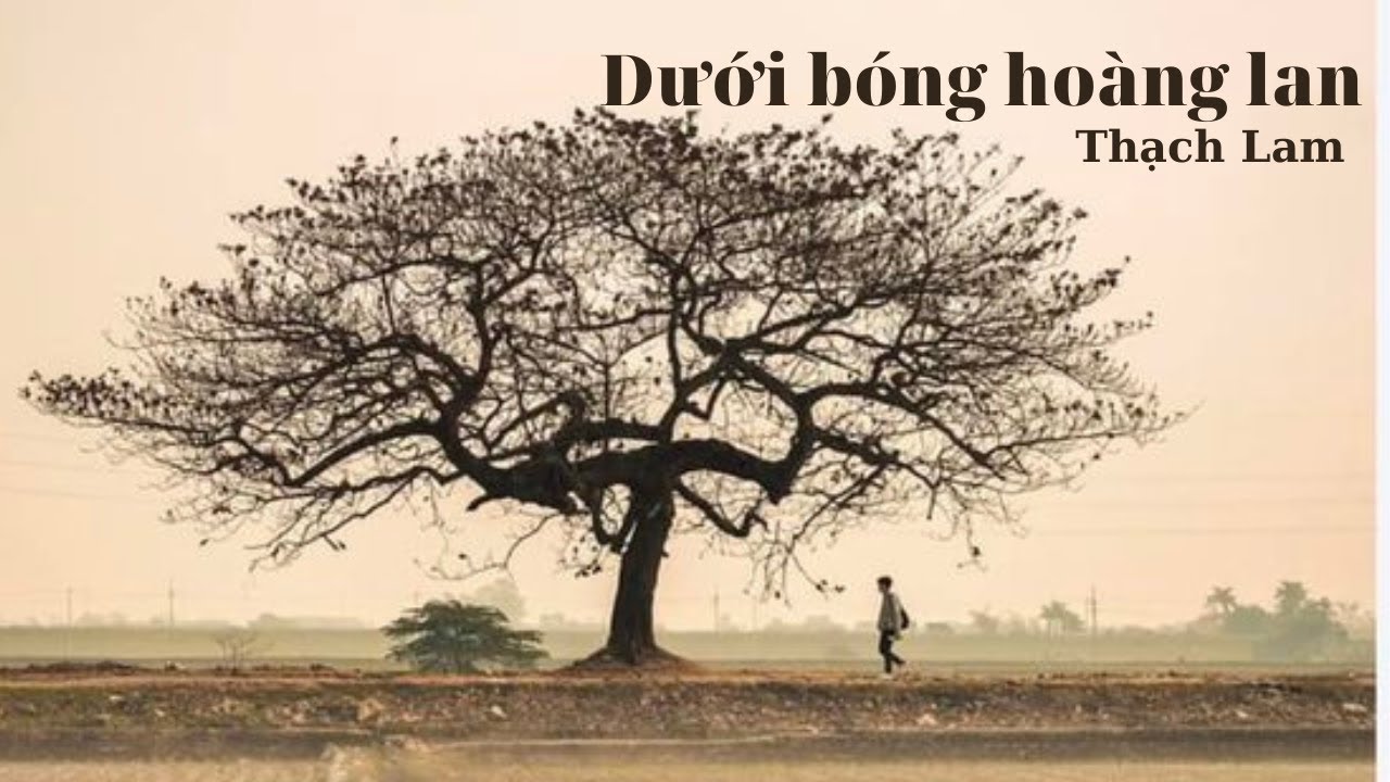 Dưới bóng hoàng lan Ngữ văn 10 Chân trời sáng tạo