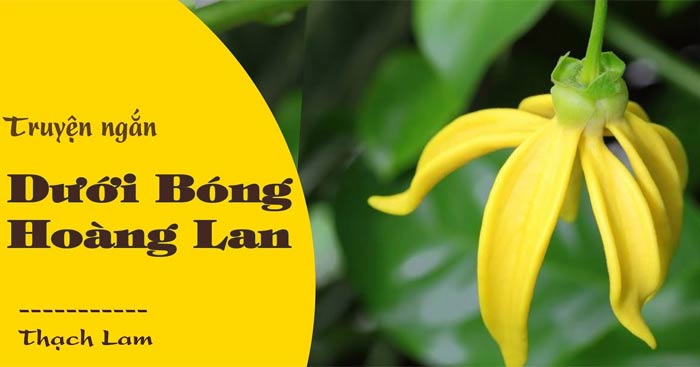 Dưới Bóng Hoàng Lan Phân Tích