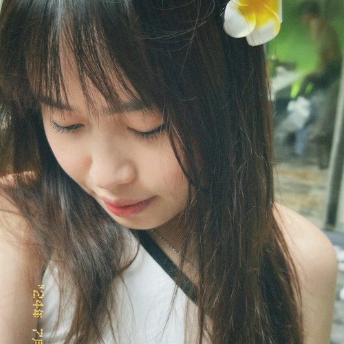 Dưới Con Phố Lấp Lánh Muôn Vì Sao Gallery 2