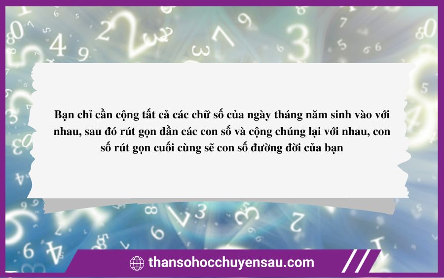 Đường Đời Là Gì?