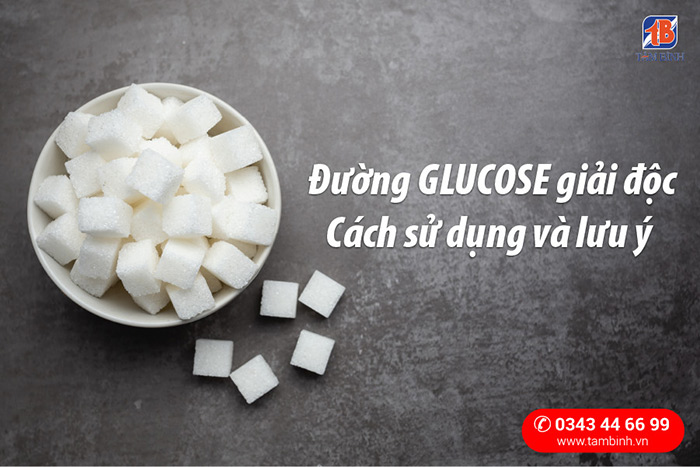 Đường Glucose Có Tác Dụng Gì? Gallery 2