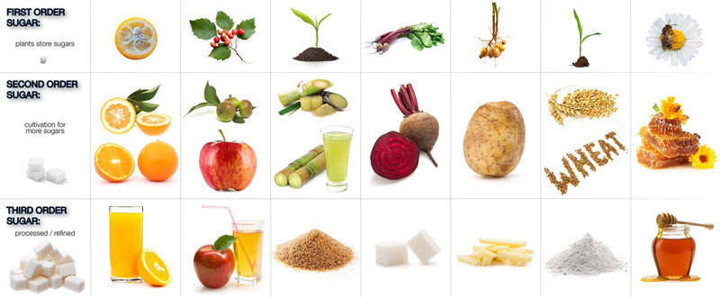 Đường Glucose Có Trong Đâu?
