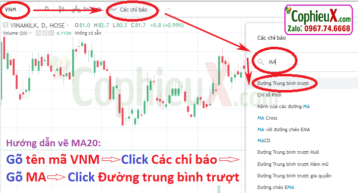 Đường MA20 Là Gì?