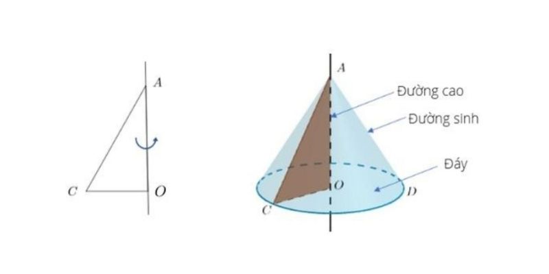 Đường Sinh Hình Nón là gì? Công thức và Ứng dụng