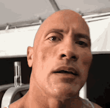 Dwayne Johnson Meme: Nguồn Gốc, Ý Nghĩa Và Sự Phổ Biến Gallery 2