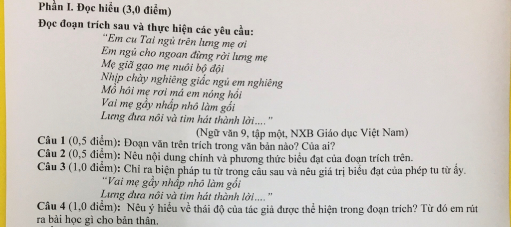 Em Cu Tai Ngủ Trên Lưng Mẹ Ơi Đọc Hiểu