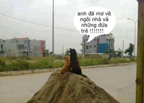 Em Đã Mơ Về Ngôi Nhà Và Những Đứa Trẻ Gallery 2