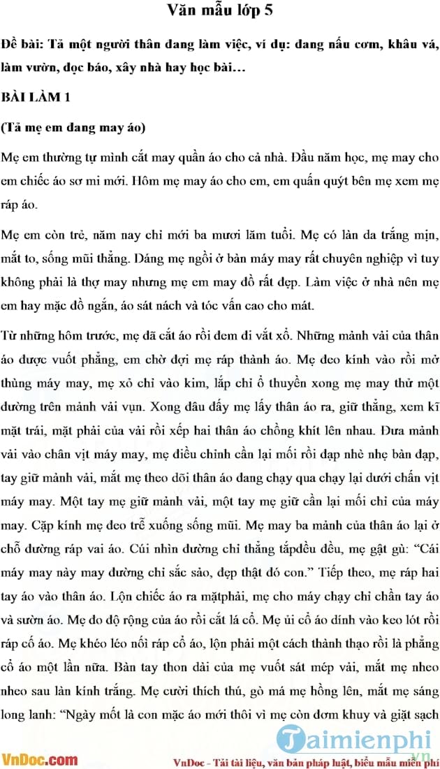 Em hãy tả một người thân đang làm việc