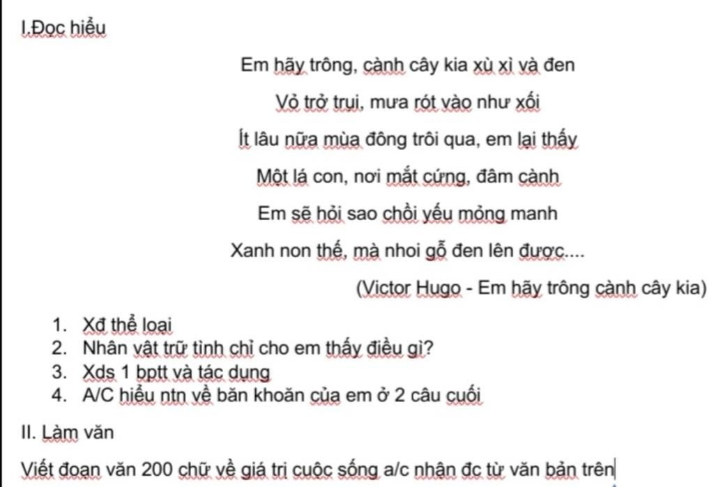 Em hãy trông cành cây kia xù xì và đen