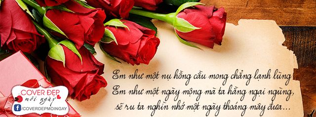 Em Như Một Nụ Hồng Gallery 1