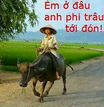 Em ở đâu anh Phi Trâu tới đón