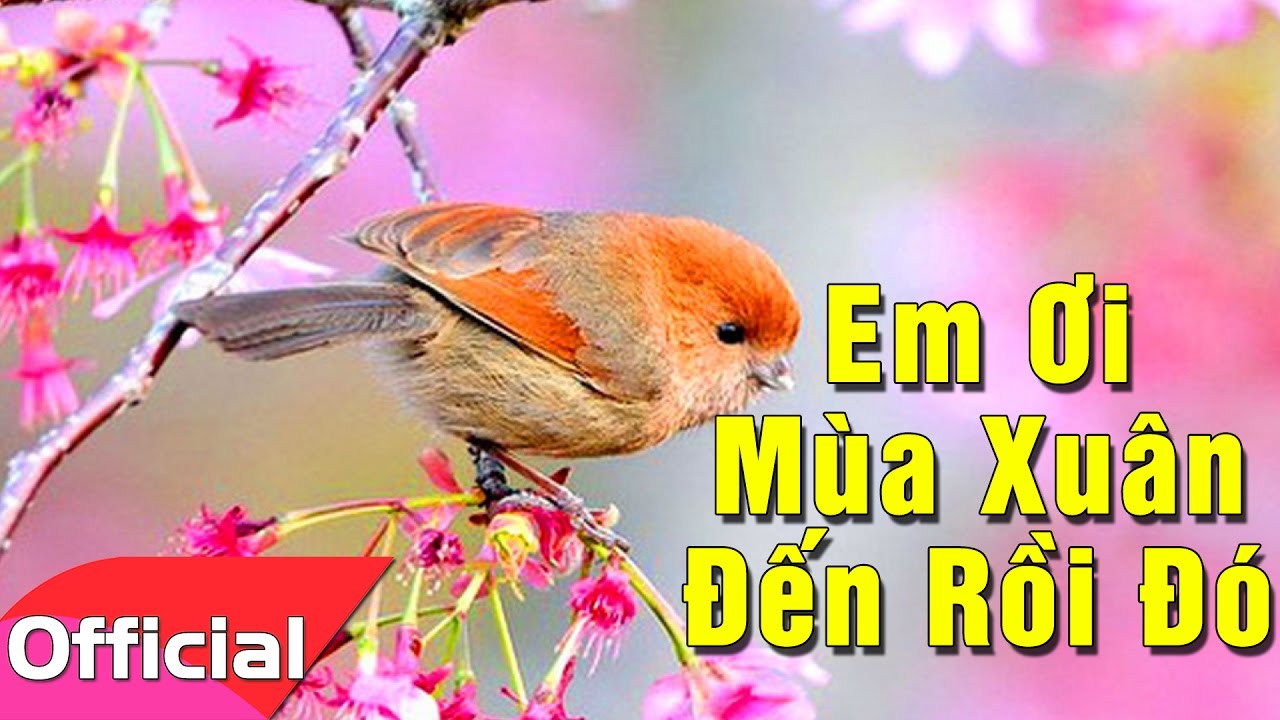 Em ơi mùa xuân đến rồi đó
