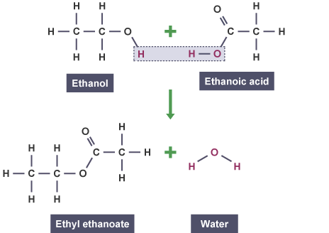 Chuyển đổi Axit Ethanoic thành Ethyl Ethanoate