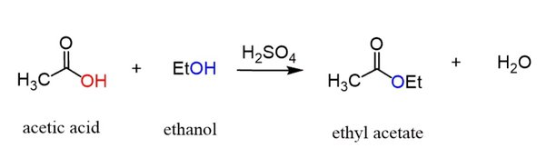 Quá trình chuyển đổi Ethanol thành Acetic Acid