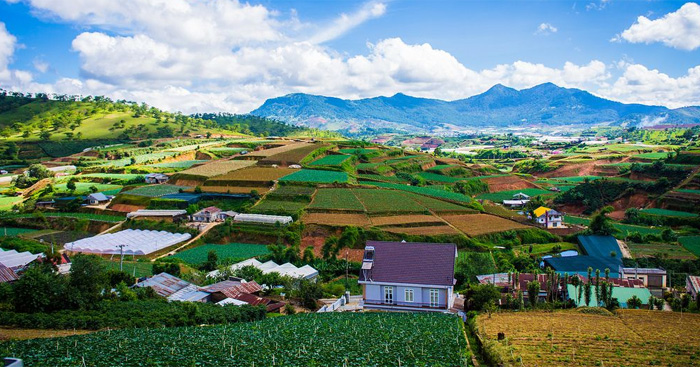 Discover the Enchanting Beauty of Da Lat, Vietnam Gallery 1