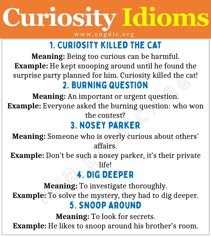 Curiosity in English: Exploring the Meaning and Usage Gallery 2
