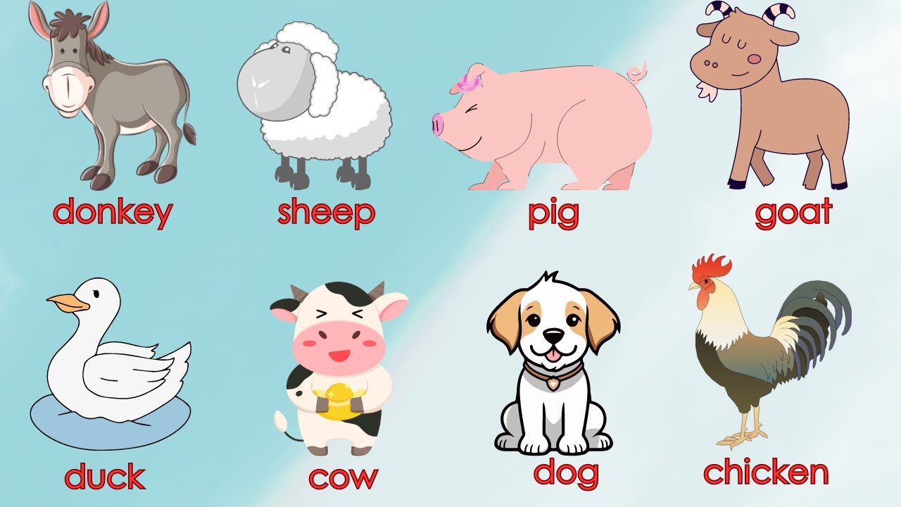 Animals for Kids: Fun Facts and Pictures Gallery 1
