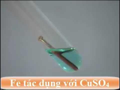 Fe tác dụng với CuSO4: Phản ứng thế, hiện tượng và ứng dụng