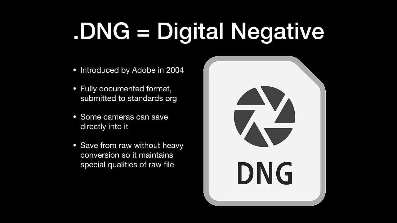 File DNG là gì?