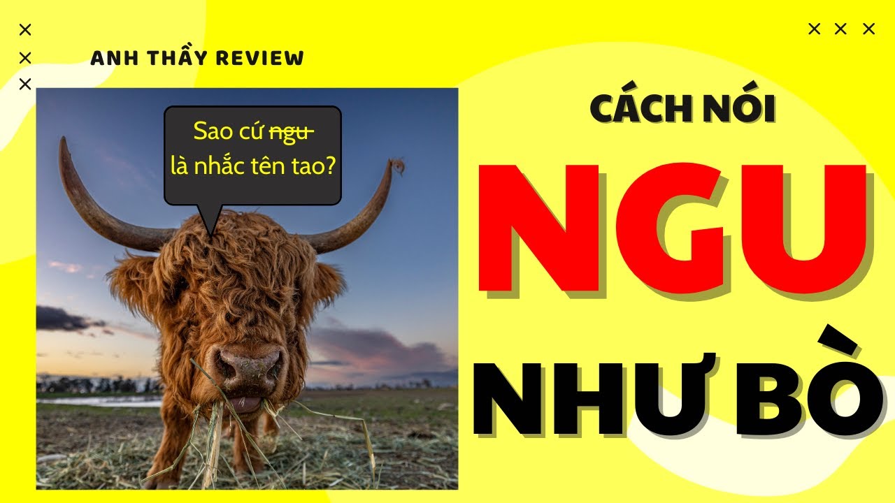 What is the English Translation of "Ngu Như Bò"? Gallery 1