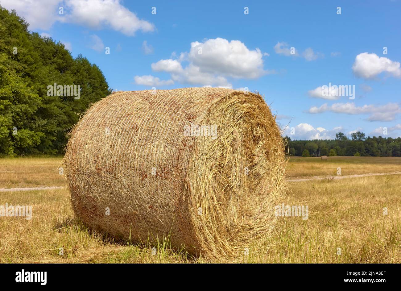 Focus In Hay On: Sử Dụng "In" Hay "On" Cho Chính Xác