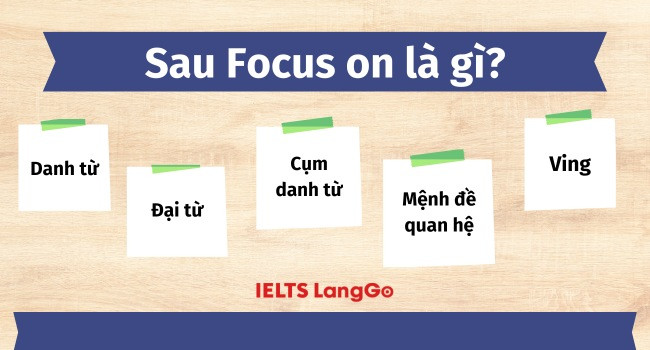 Focus On Là Gì?